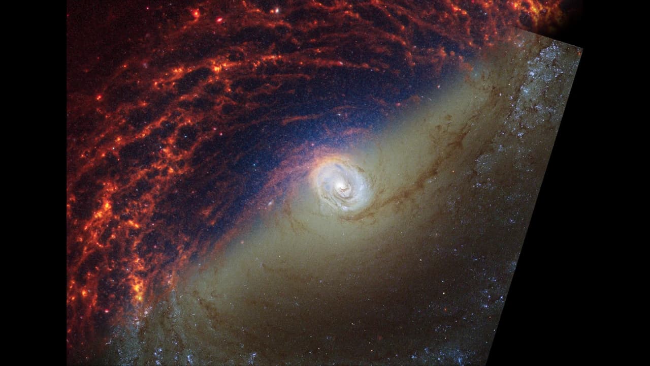 Yıldızlar Nasıl Oluşur?