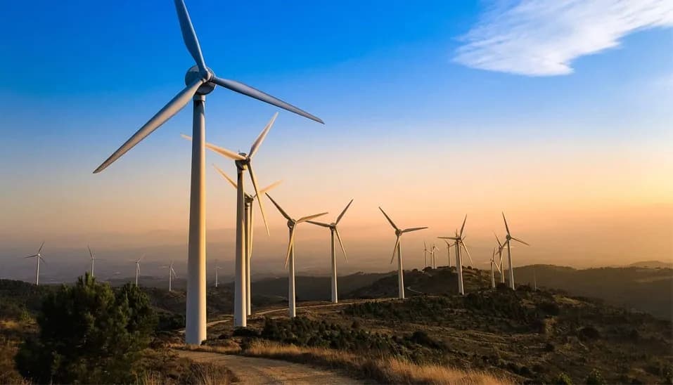 FeatherEdge Teknolojisi: Rüzgar Türbinleri İçin Devrimsel Çözüm