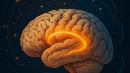 Bilim İnsanları Anıların Beyinde Fiziksel Olarak Hareket Etti