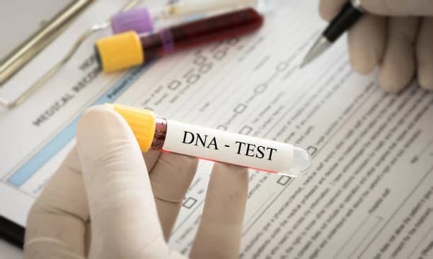 DNA Testleri Gerçekten "Irkınızı" Söyleyebilir mi?